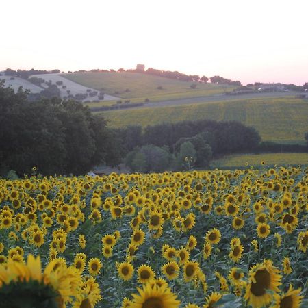Agriturismo I Ciliegi Appartamento Ginestra Montignano Dış mekan fotoğraf