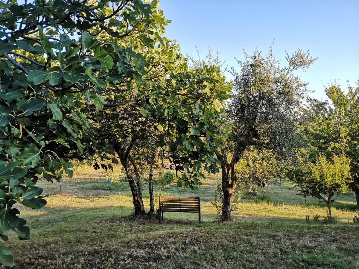 Agriturismo I Ciliegi Appartamento Ginestra Montignano Dış mekan fotoğraf