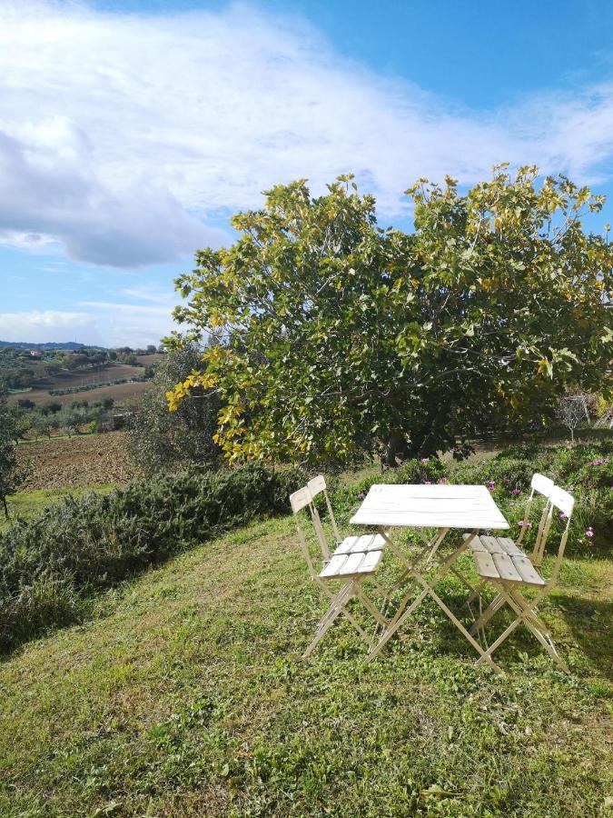 Agriturismo I Ciliegi Appartamento Ginestra Montignano Dış mekan fotoğraf