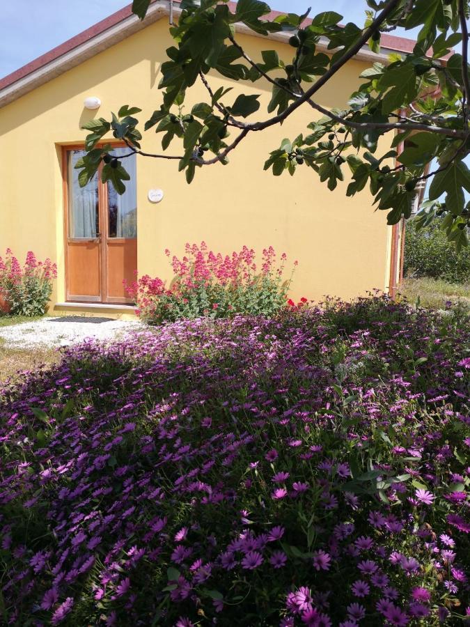 Agriturismo I Ciliegi Appartamento Ginestra Montignano Dış mekan fotoğraf